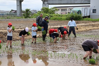 IMG_2175.jpg