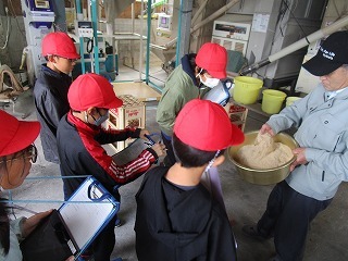 IMG_8253.jpg