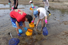IMG_7671.JPG