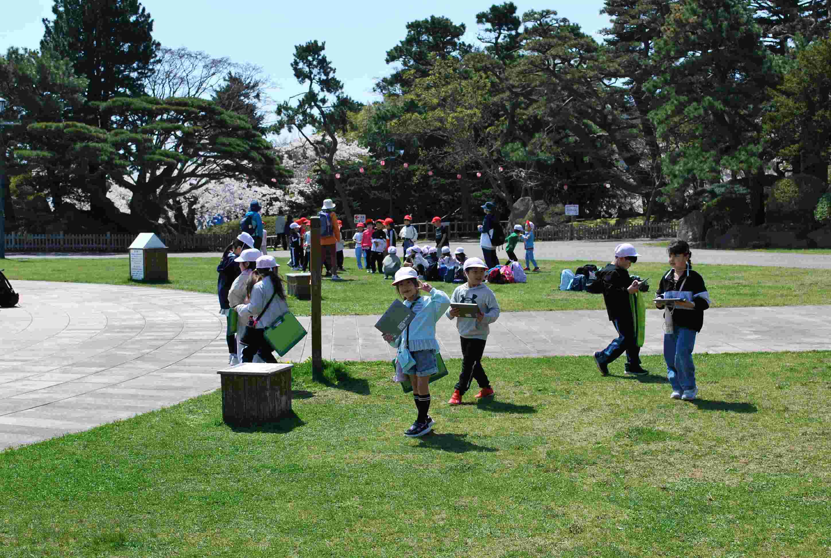 DSC_0771.JPG