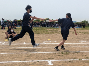 PXL_20250530_011340668.jpg