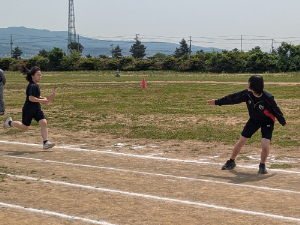 PXL_20250530_013106271.jpg