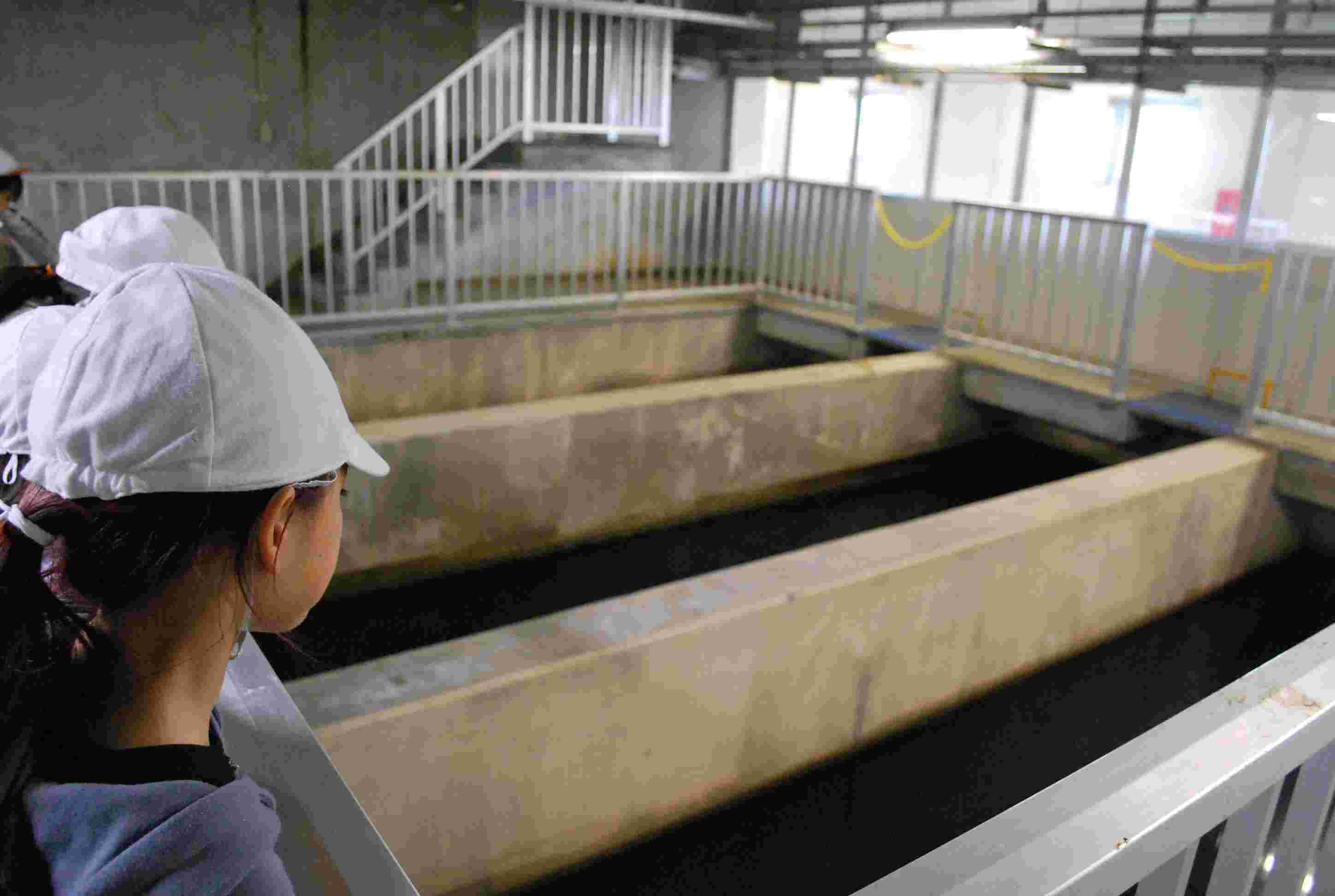 清川浄水場2.JPG