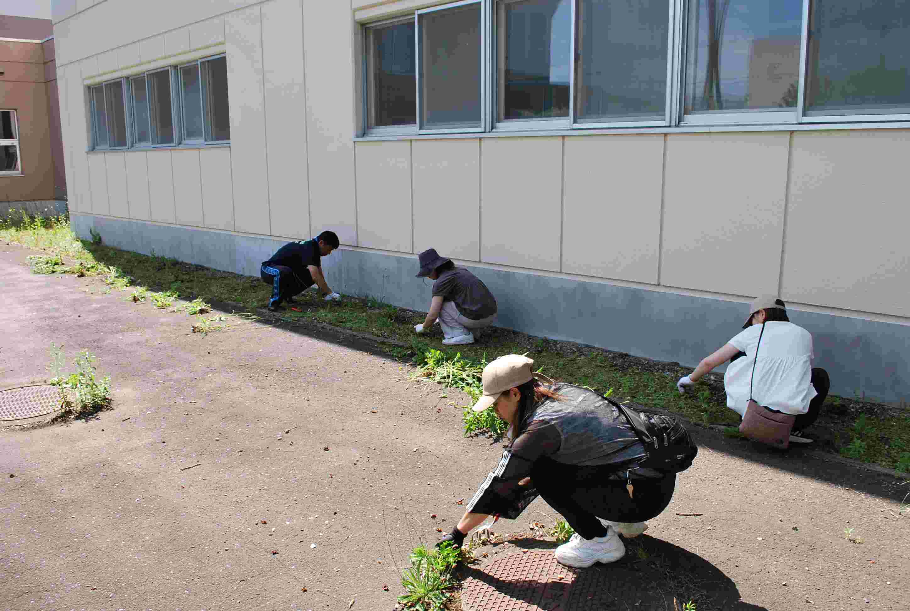 雑草取り.JPG