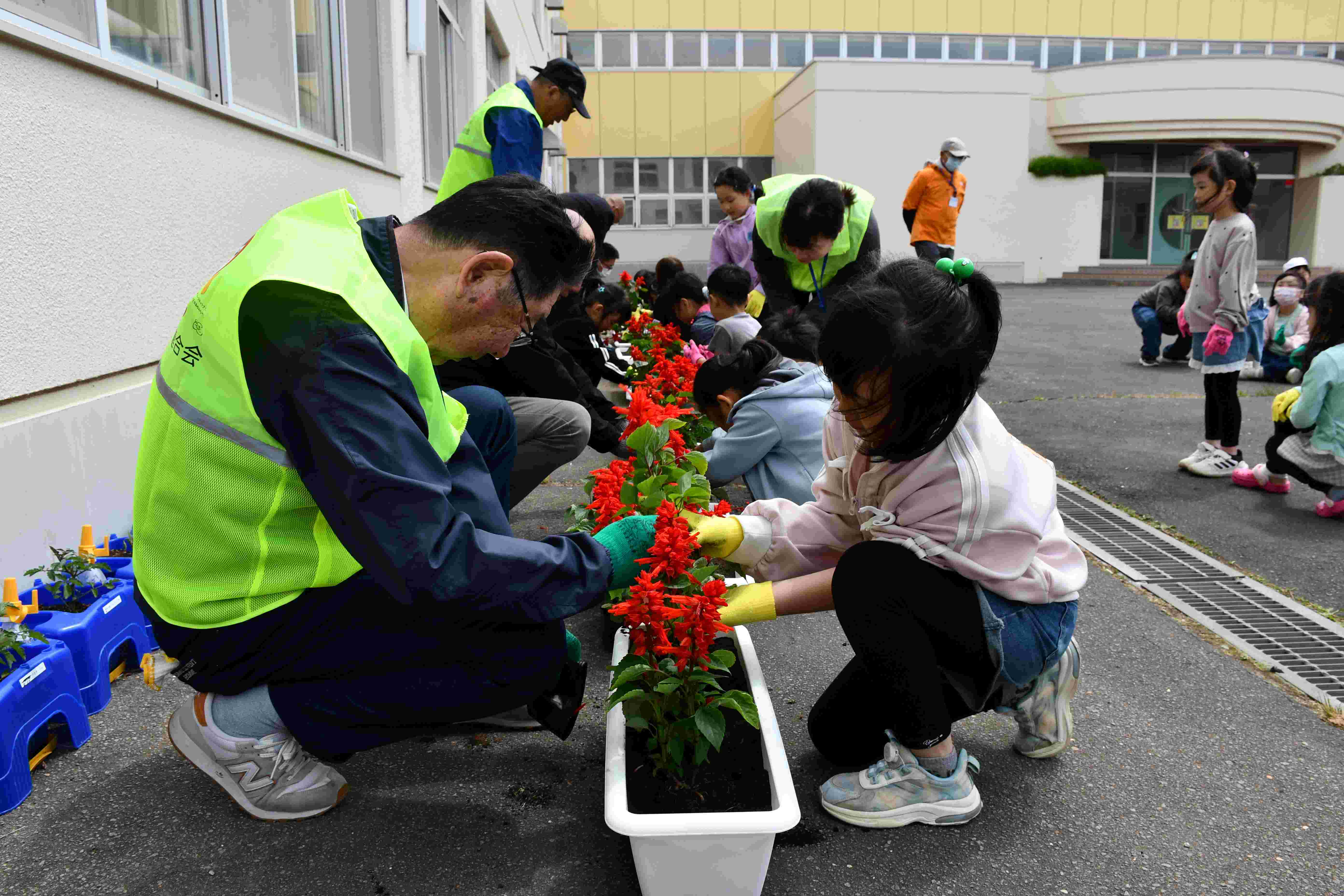 人権の花2.JPG
