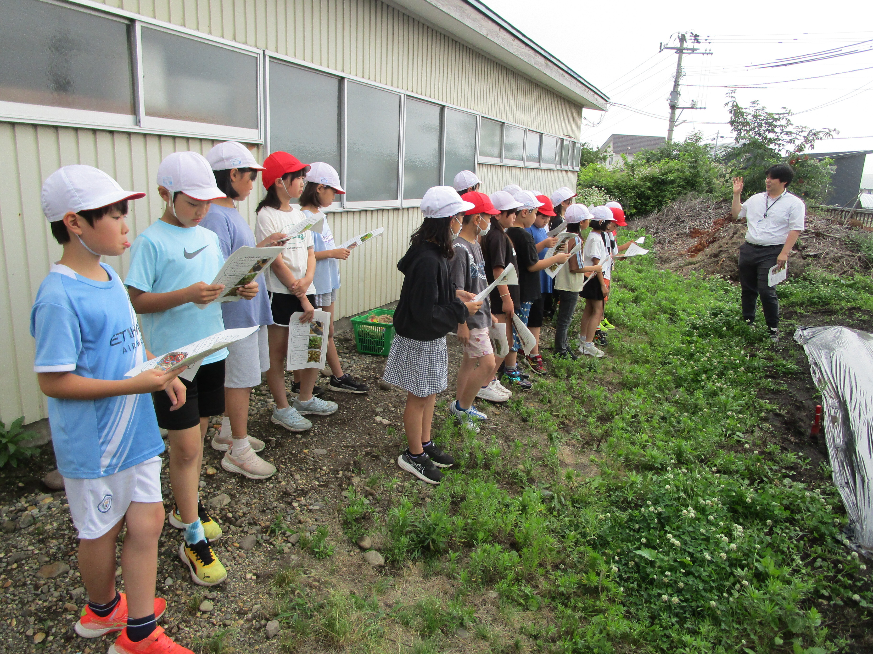 IMG_8409.JPG